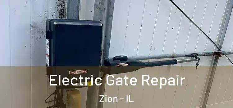 Electric Gate Repair Zion - IL
